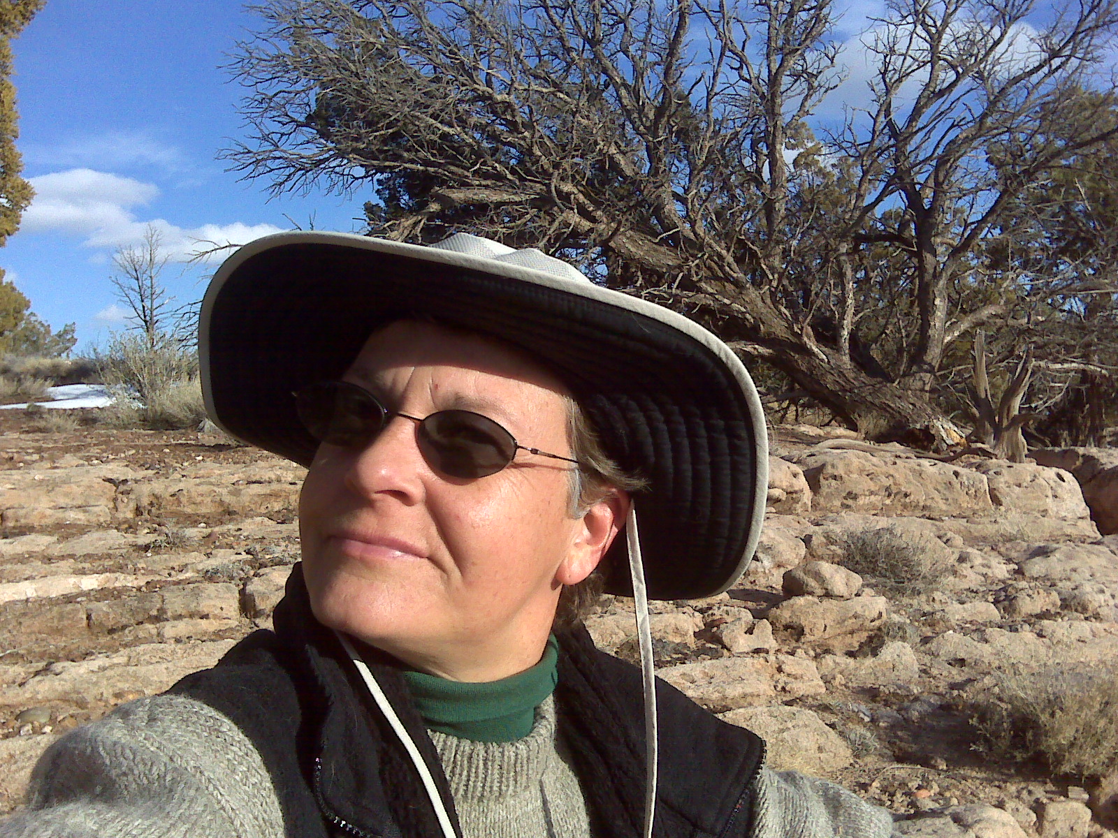 Jon P., tutor at Elite Home Tutoring